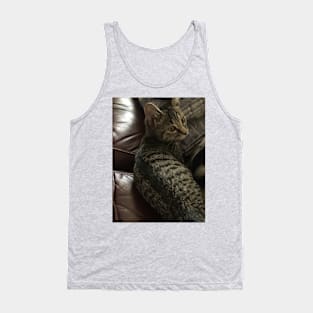 Kitten With a Speckled Coat Tank Top